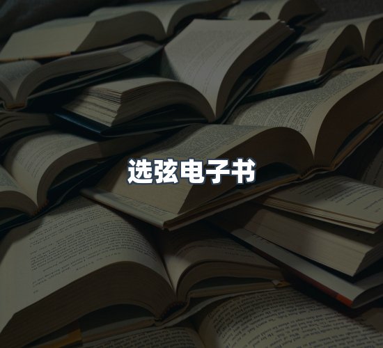 关于选弦电子书